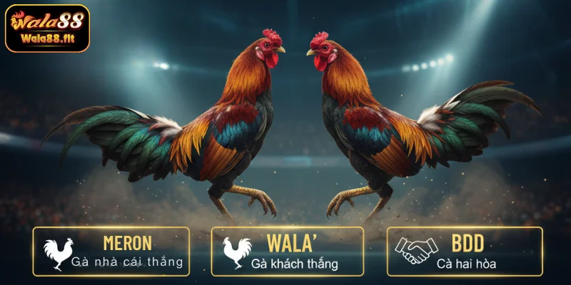 Các cửa cược trong đá gà đòn